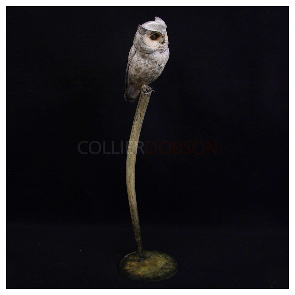 Scops Owl by Adam Binder