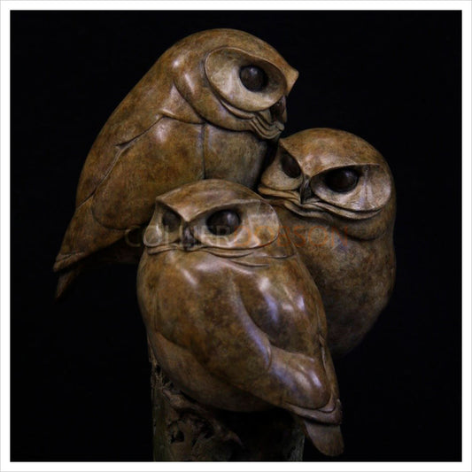 Little Owls by Adam Binder