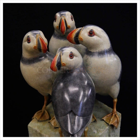 Group of Puffins by Adam Binder