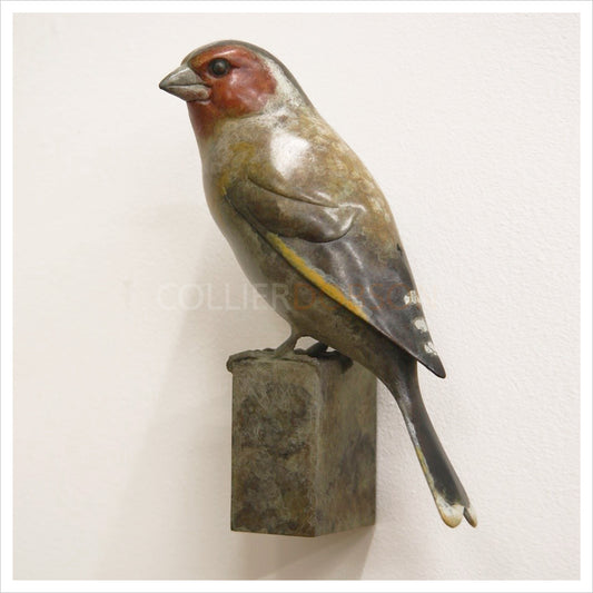 Wall Mounted Goldfinch by Adam Binder