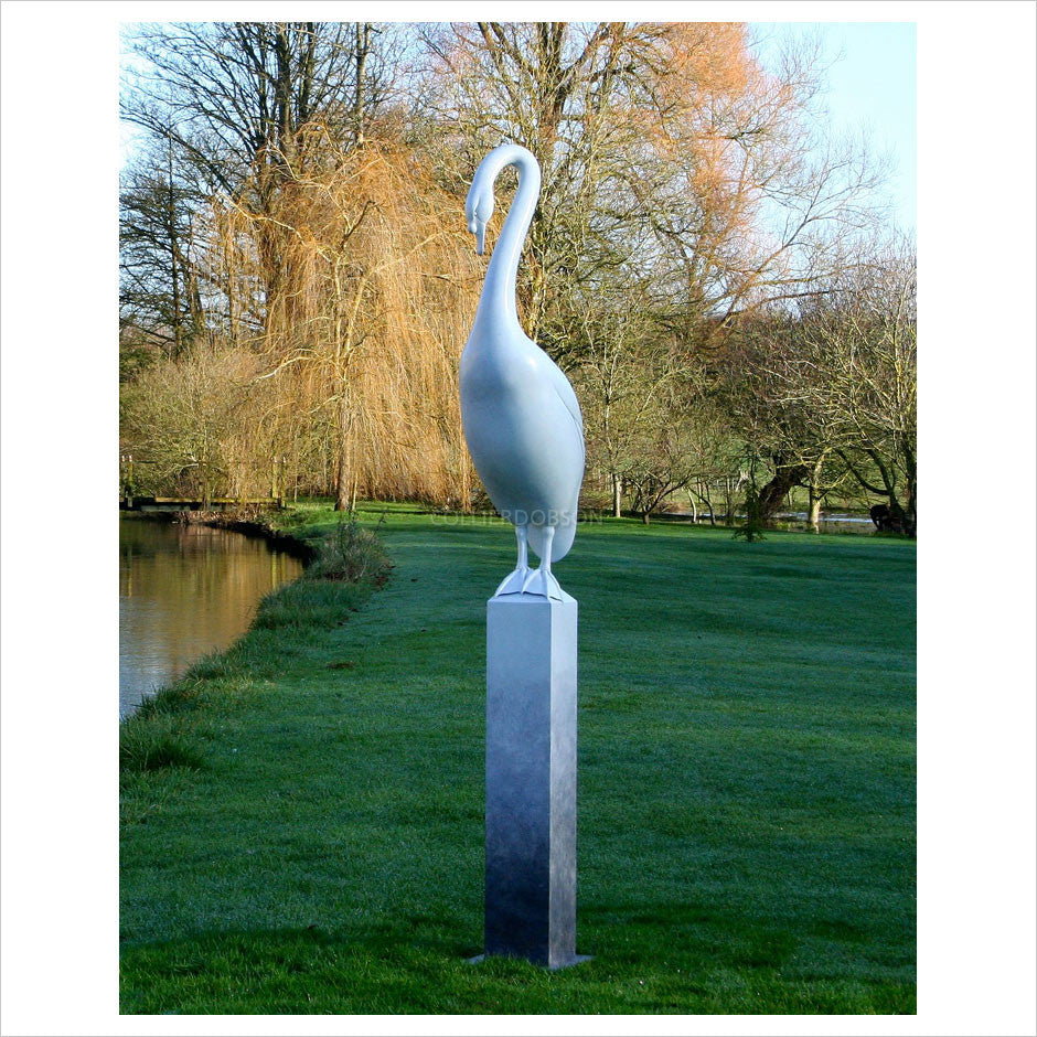 Swan by Adam Binder
