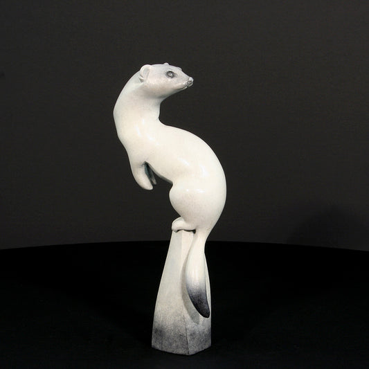 Ermine by Adam Binder