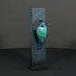 Blue Tit