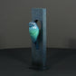 Blue Tit