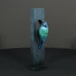 Blue Tit