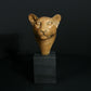 Leopard Head