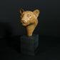 Leopard Head
