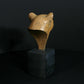 Leopard Head