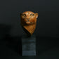 Cheetah Head