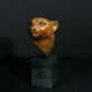 Cheetah Head
