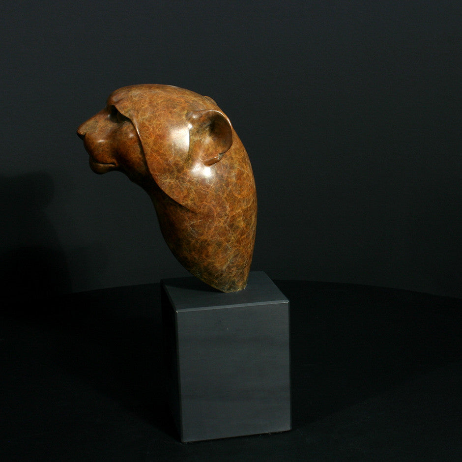 Cheetah Head
