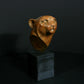 Cheetah Head