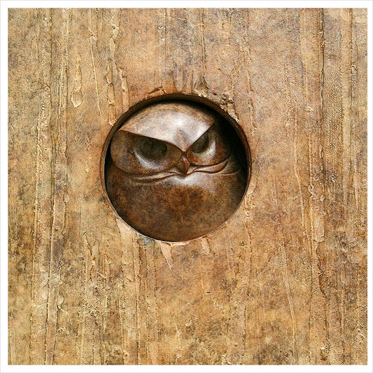 Little Owl Plaque by Adam Binder