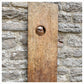 Little Owl Plaque by Adam Binder