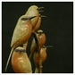7 Bee Eaters by Adam Binder