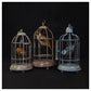 Birdcage Group by Adam Binder
