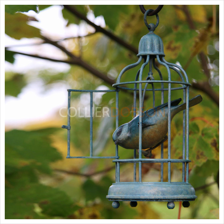 Blue Tit in Birdcage by Adam Binder