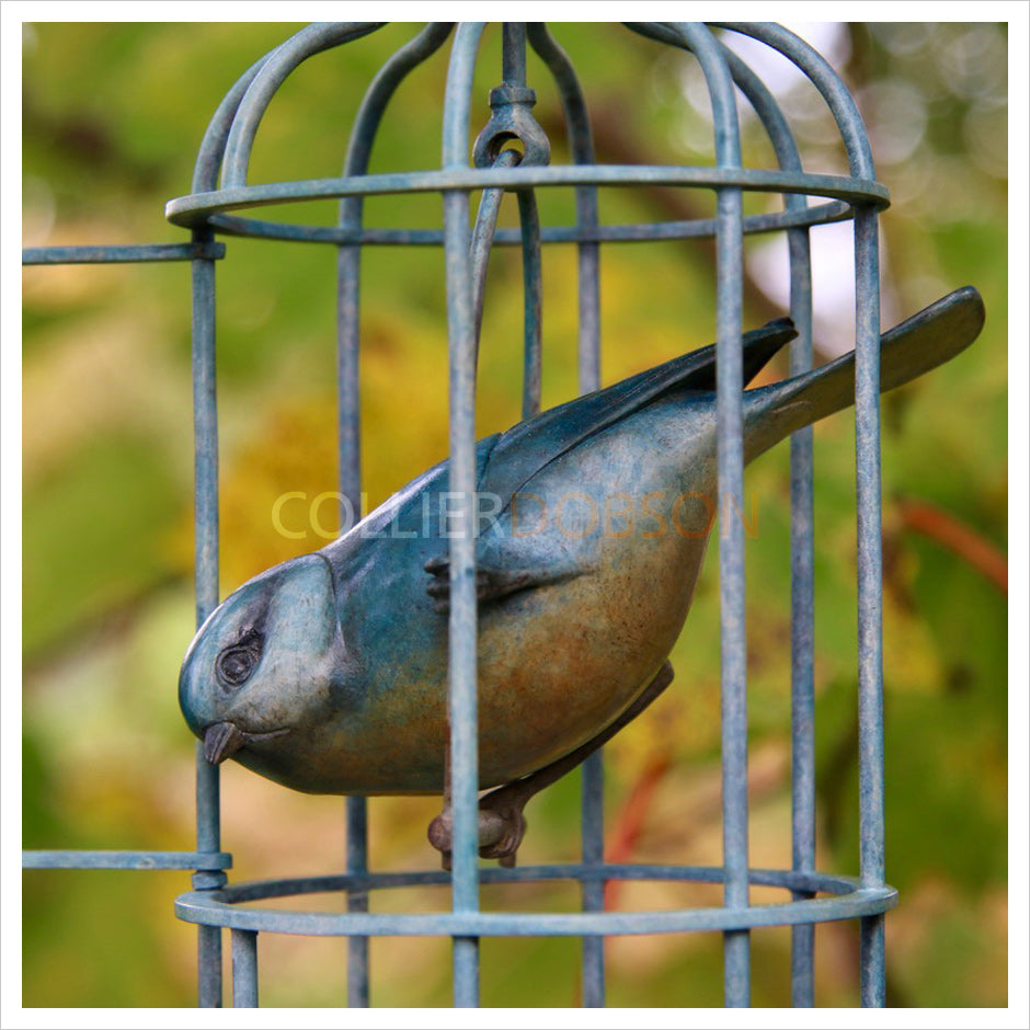 Blue Tit in Birdcage by Adam Binder