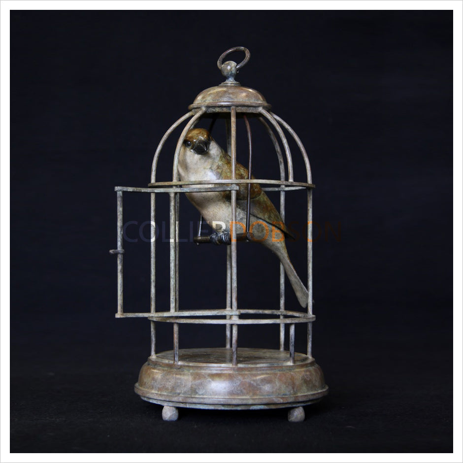 Sparrow in Birdcage by Adam Binder