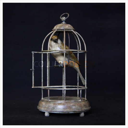 Sparrow in Birdcage by Adam Binder