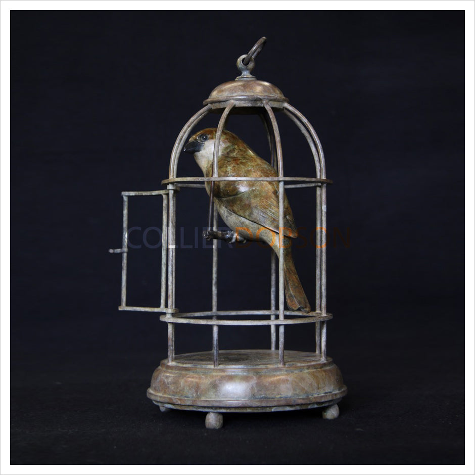 Sparrow in Birdcage by Adam Binder