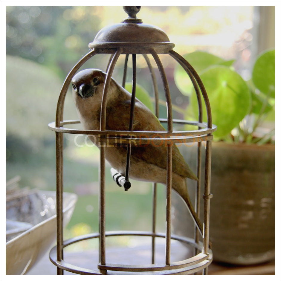 Sparrow in Birdcage by Adam Binder