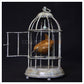 Wren in Birdcage by Adam Binder