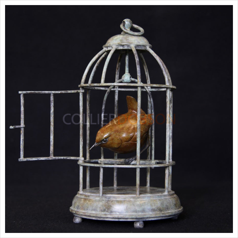 Wren in Birdcage by Adam Binder
