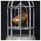Wren in Birdcage by Adam Binder