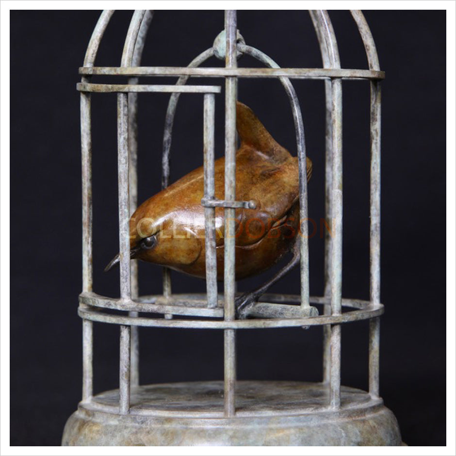 Wren in Birdcage by Adam Binder