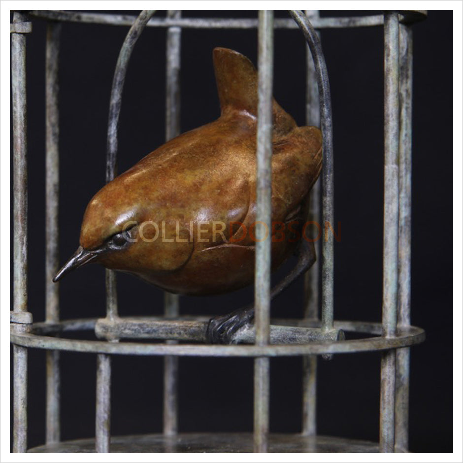 Wren in Birdcage by Adam Binder