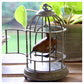Wren in Birdcage by Adam Binder