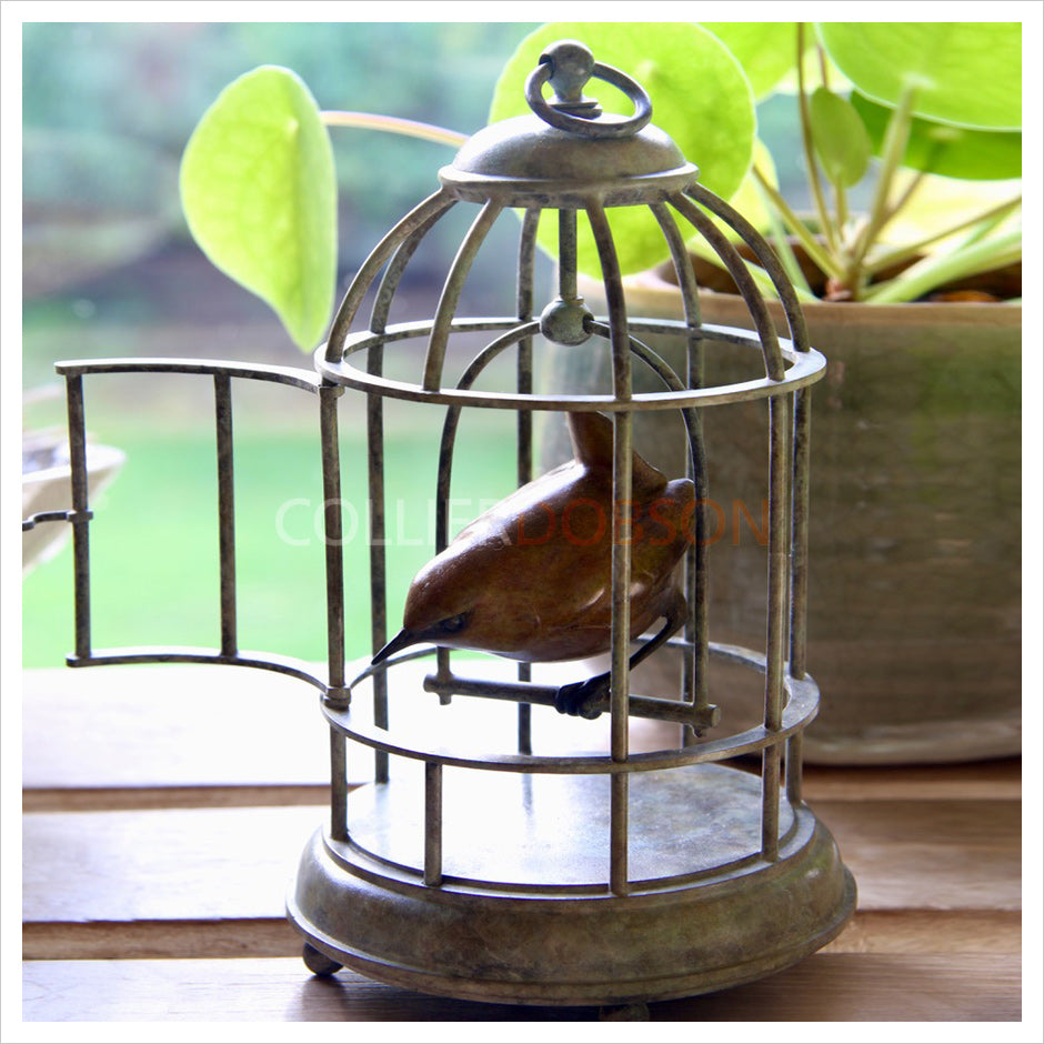 Wren in Birdcage by Adam Binder