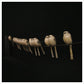 14 Long Tail Tits by Adam Binder
