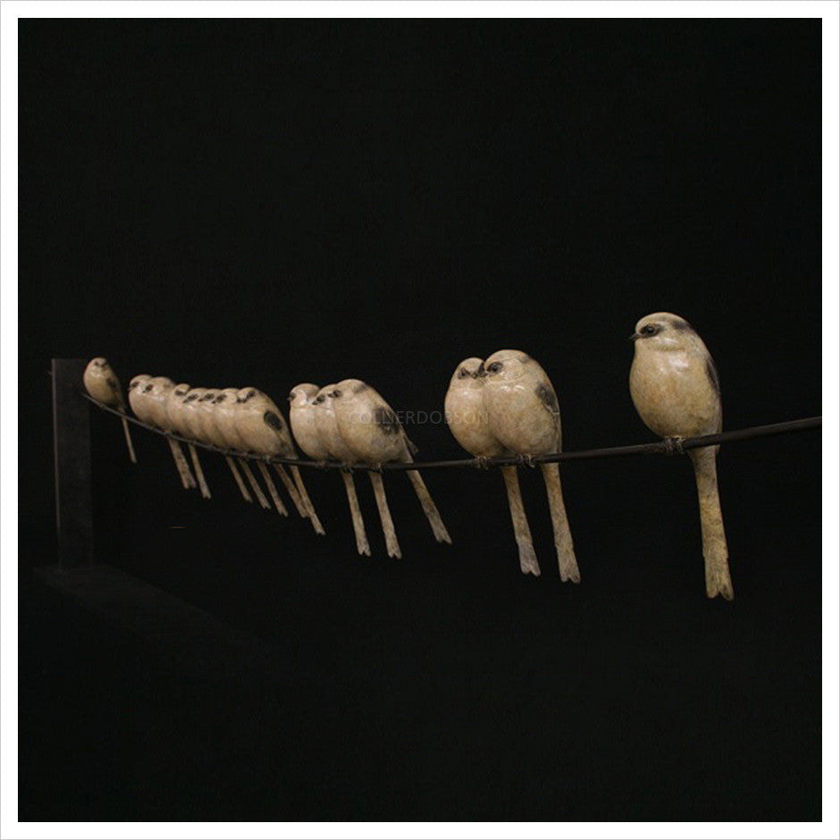 14 Long Tail Tits by Adam Binder