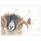 Hey Ewe! by Aaminah Snowdon