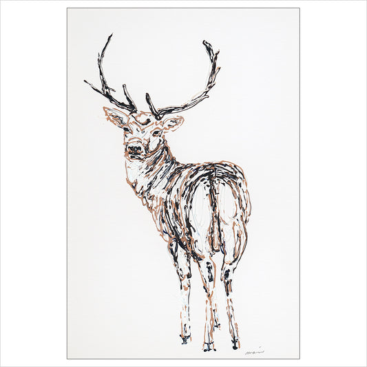 Hello Deer by Becky Mair