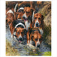 Artist's Proof Canvas Print