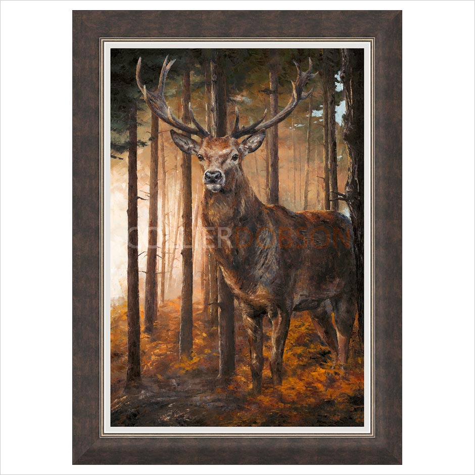 Framed Print Option 1