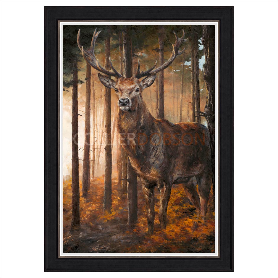 Framed Artist's Proof
