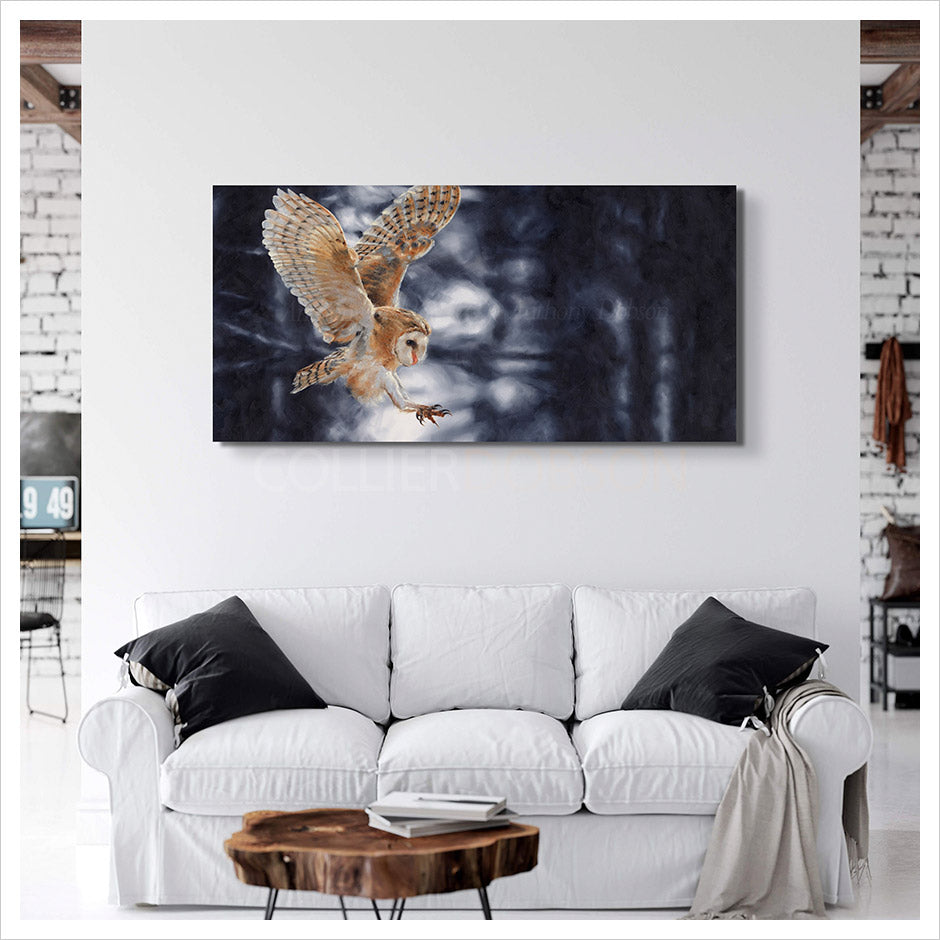 Stealth Artist's Proof Stretched Canvas Print by Anthony Dobson