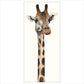 Tall, Dappled and Handsome by Dominique Salm