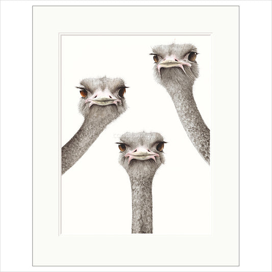 Rubbernecking by Dominique Salm