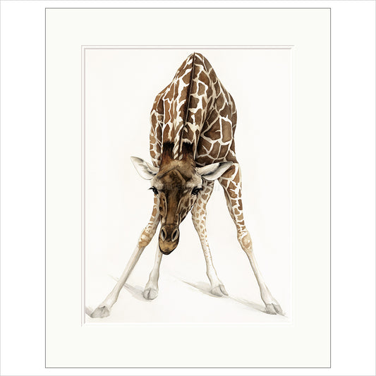 Can I Help You? by Dominique Salm