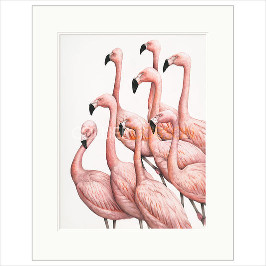 Decisions, Decisions! by Dominique Salm