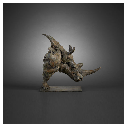 White Rhino Study by Fred Gordon