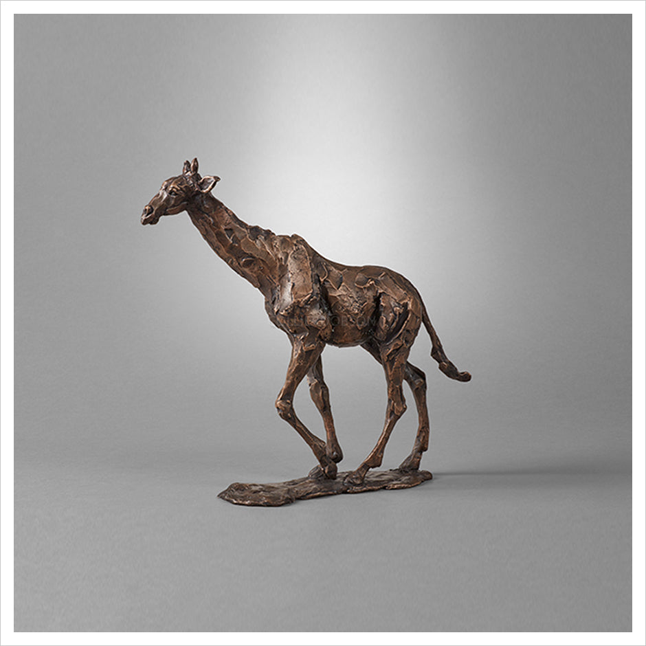 Giraffe Study by Fred Gordon