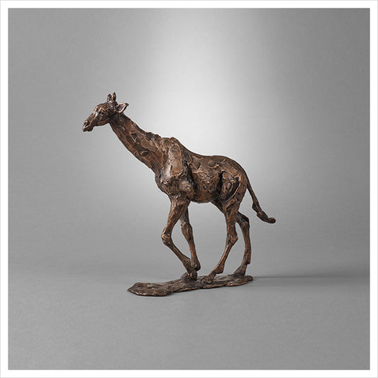 Giraffe Study by Fred Gordon