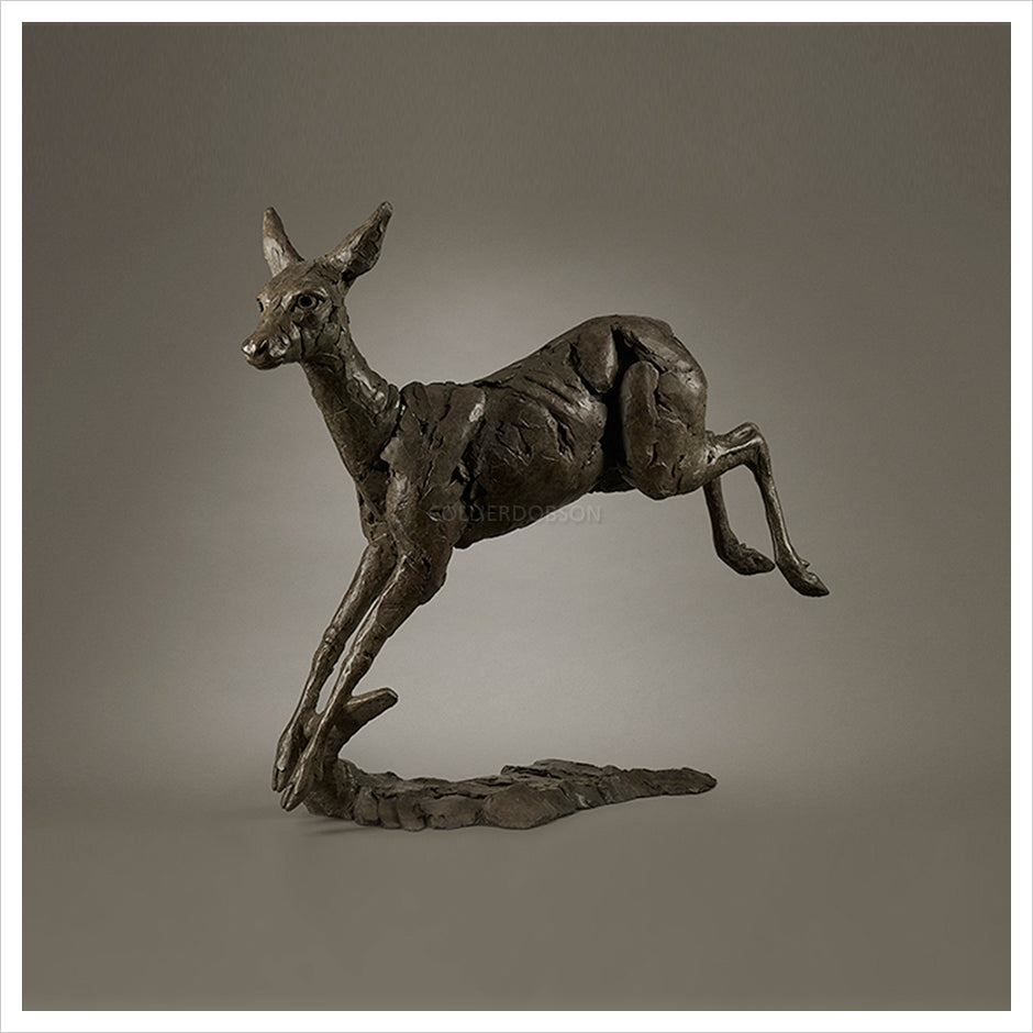 Prancing Roe Deer by Fred Gordon
