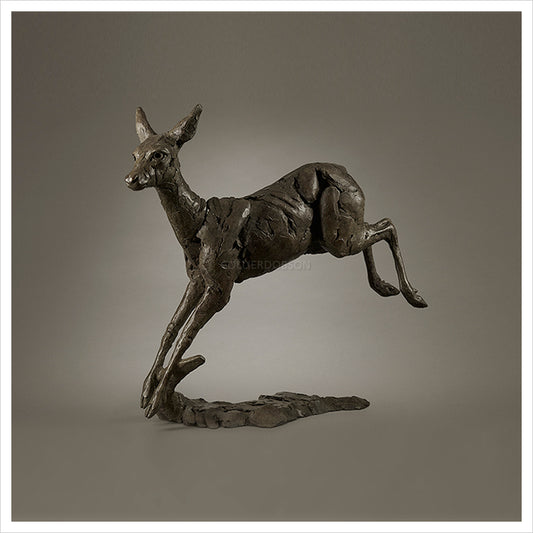 Prancing Roe Deer by Fred Gordon